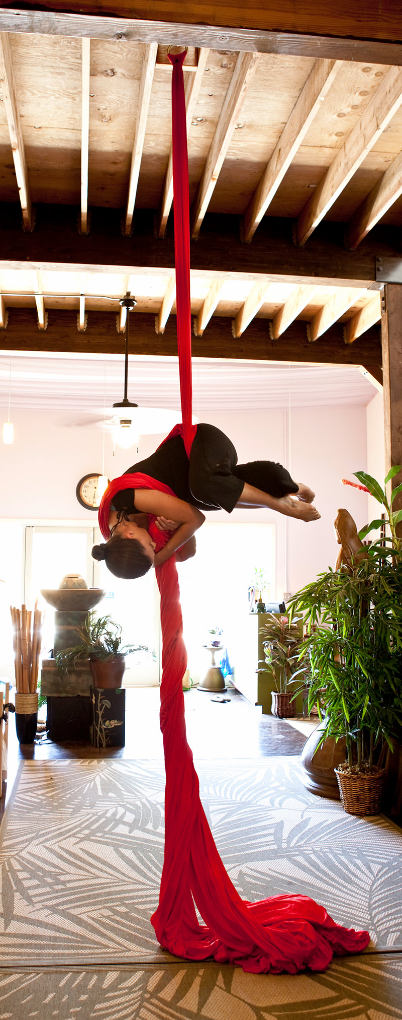 Aerial Silks