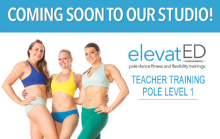 elevatED Pole and Flexibility Teacher Training
