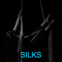 Aerial Silk Classes